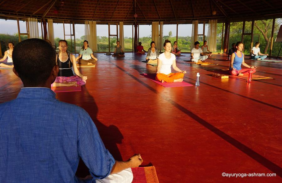 Yoga India (1)